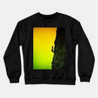 Ant on a tree Crewneck Sweatshirt